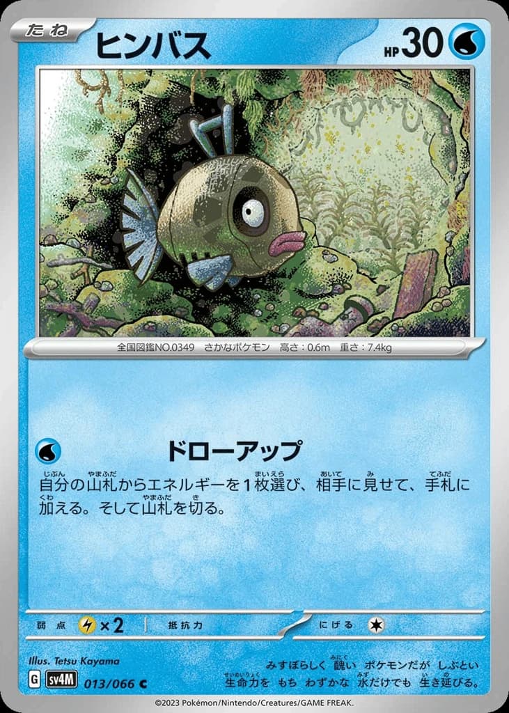 Feebas (13)