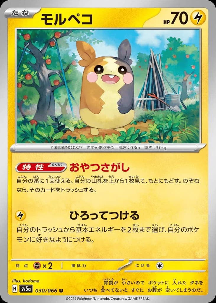 Morpeko (30)