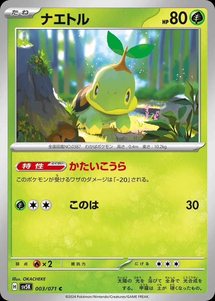 Turtwig (3)