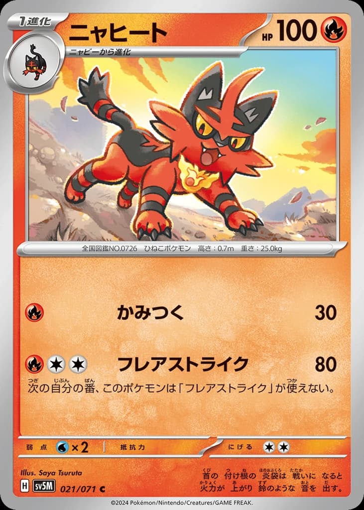 Torracat (21)