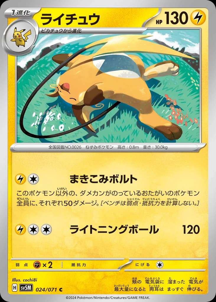 Raichu (24)