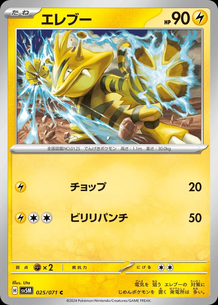 Electabuzz (25)