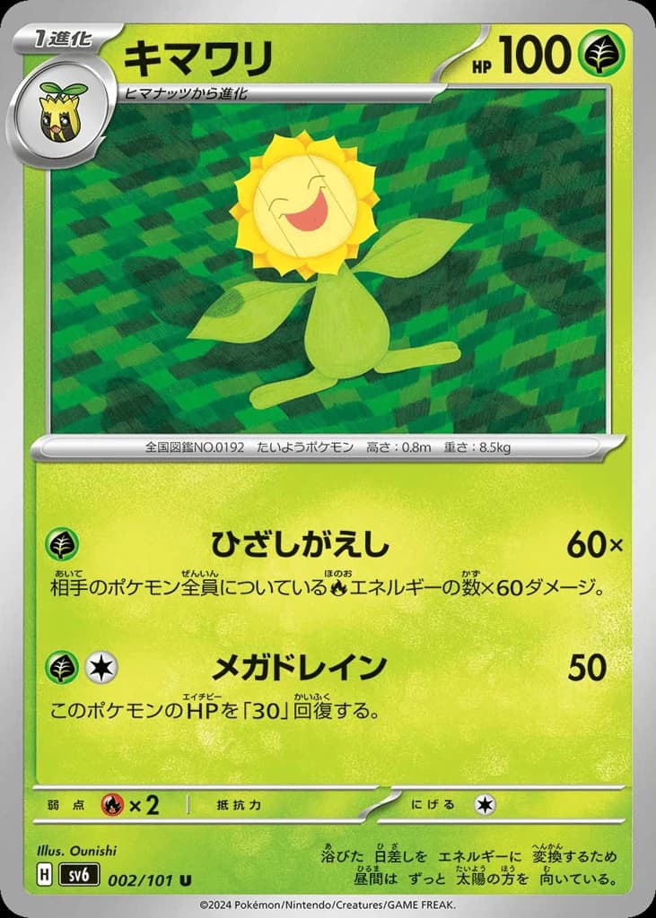 Sunflora (2)