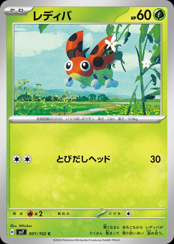 Ledyba (1)