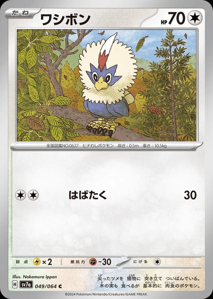 Rufflet (49)
