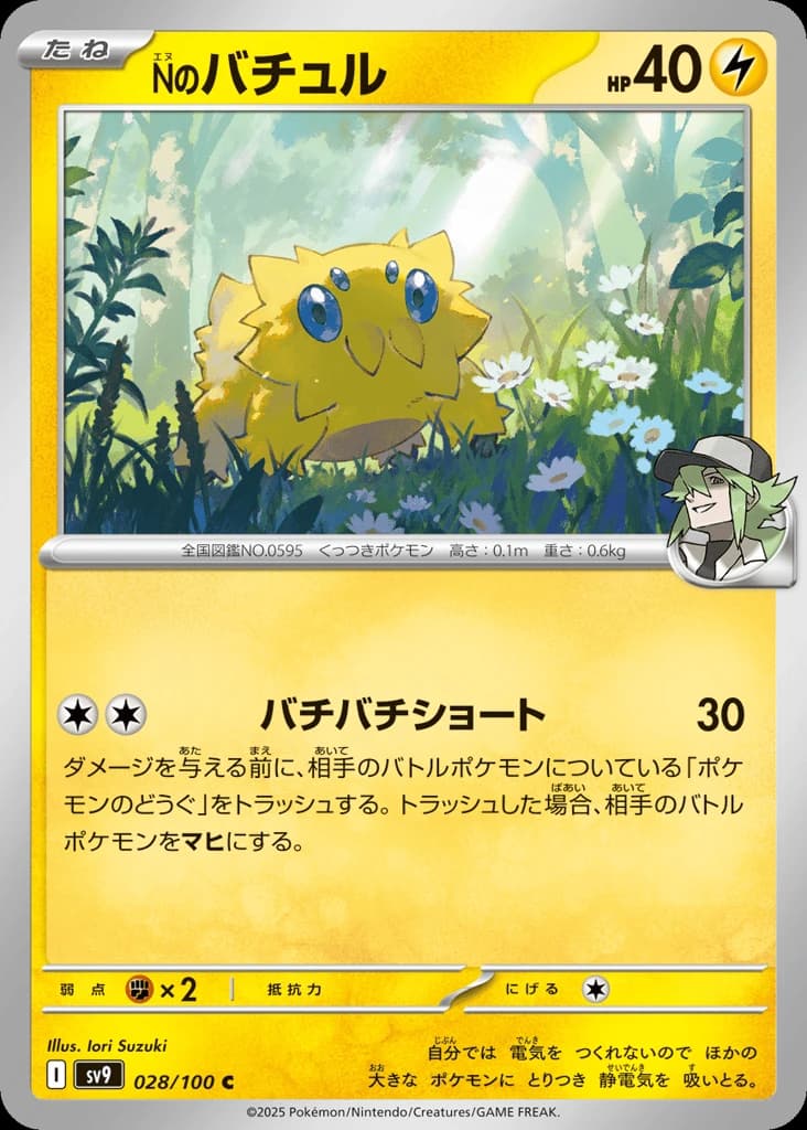 N's Joltik (28)