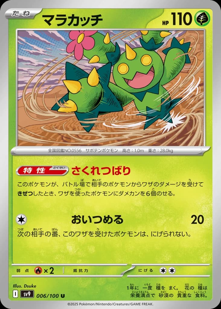 Maractus (6)