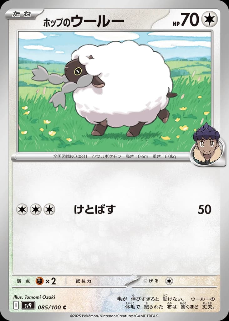 Hop's Wooloo (85)