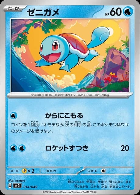 Squirtle (14)
