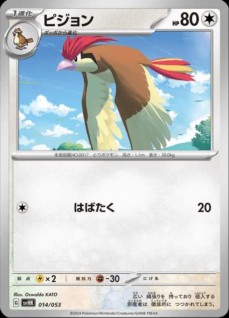 Pidgeotto (14)