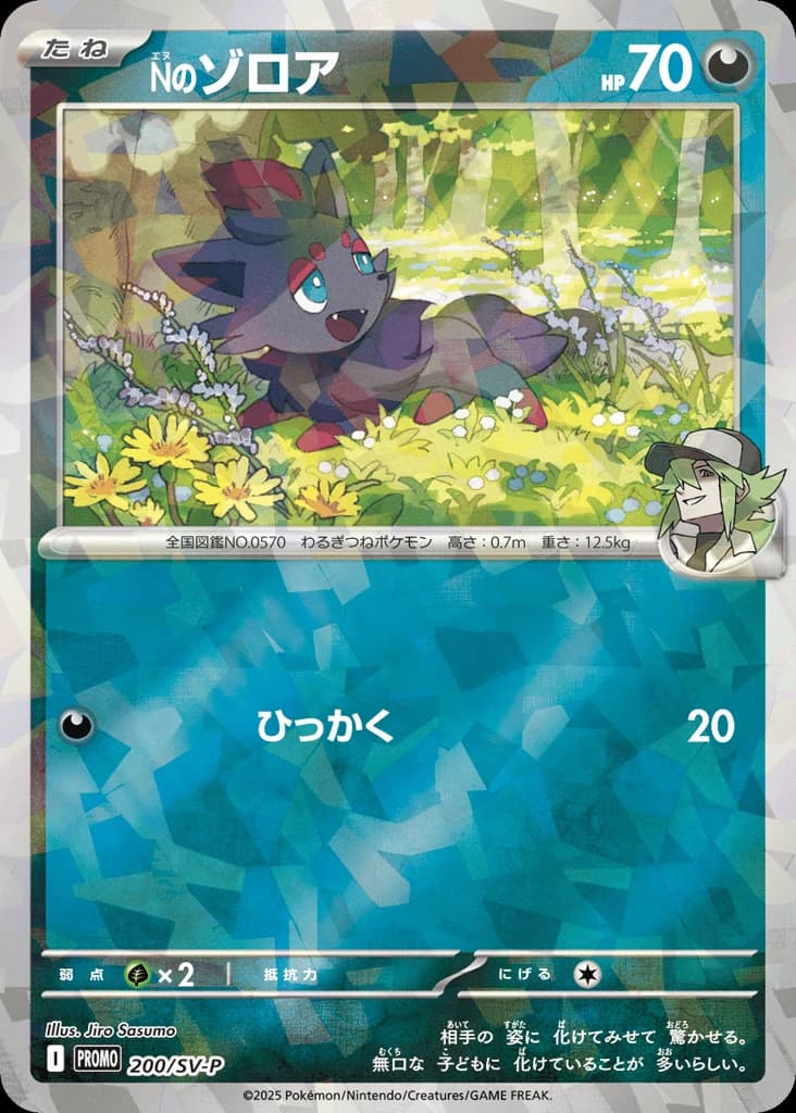 N's Zorua (200)