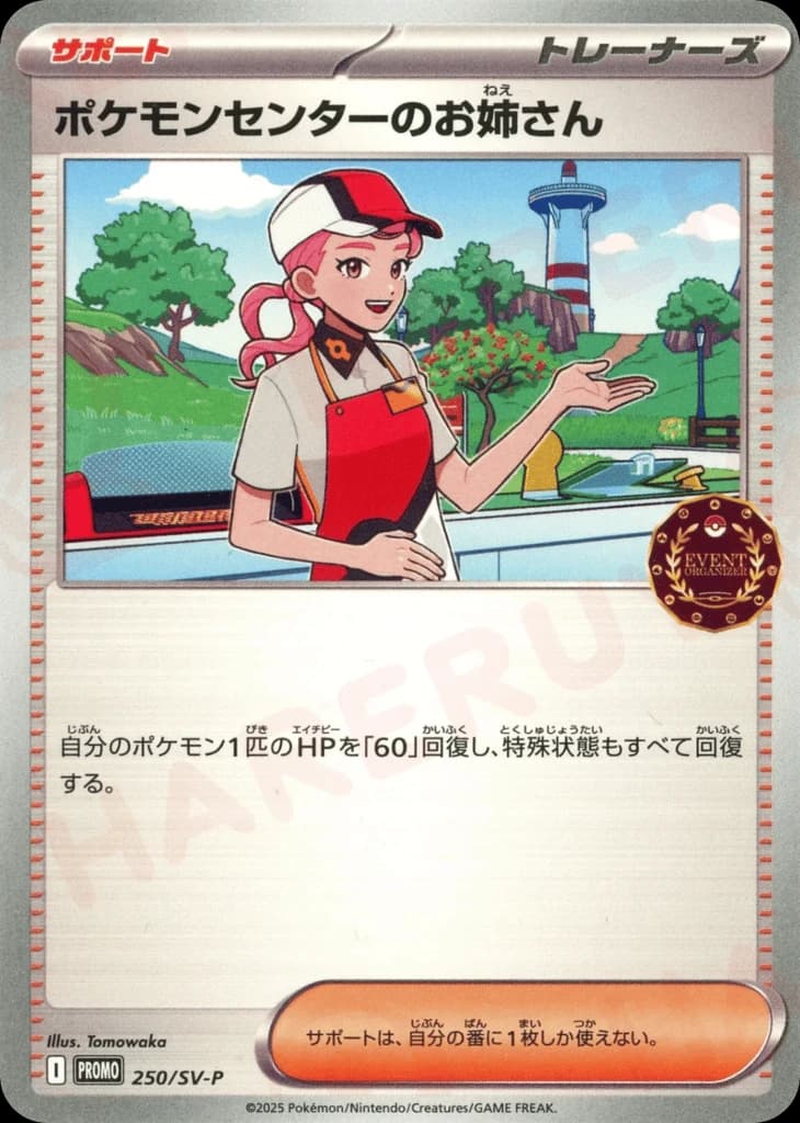 Pokémon Center Lady (250)