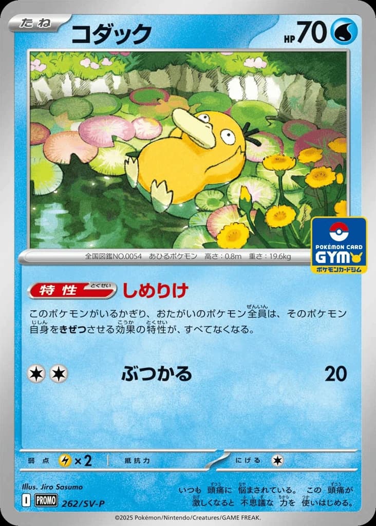 Psyduck (262)