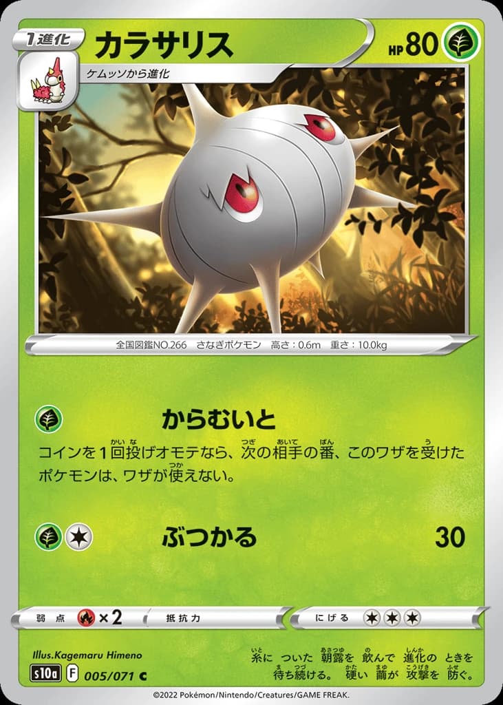 Silcoon (5)