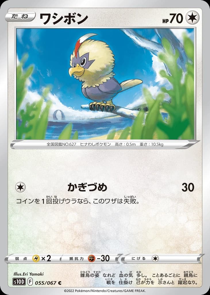 Rufflet (55)