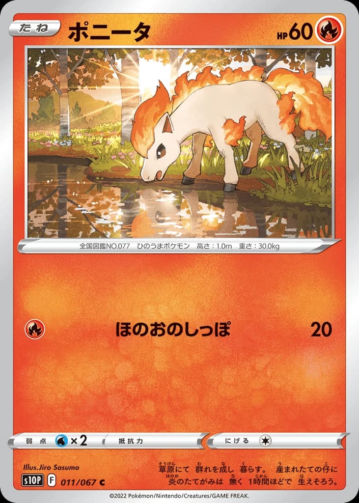 Ponyta (11)