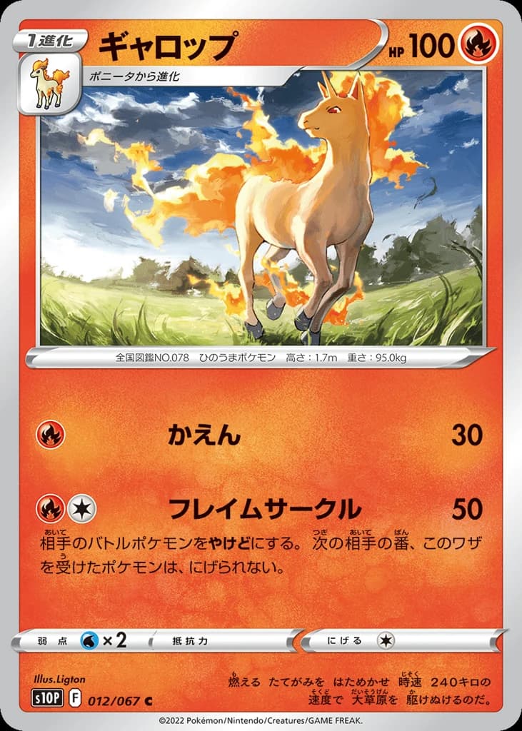 Rapidash (12)