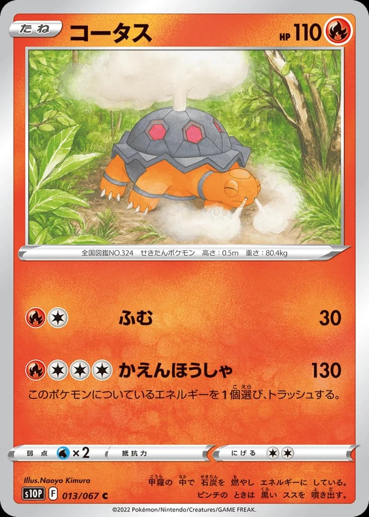 Torkoal (13)