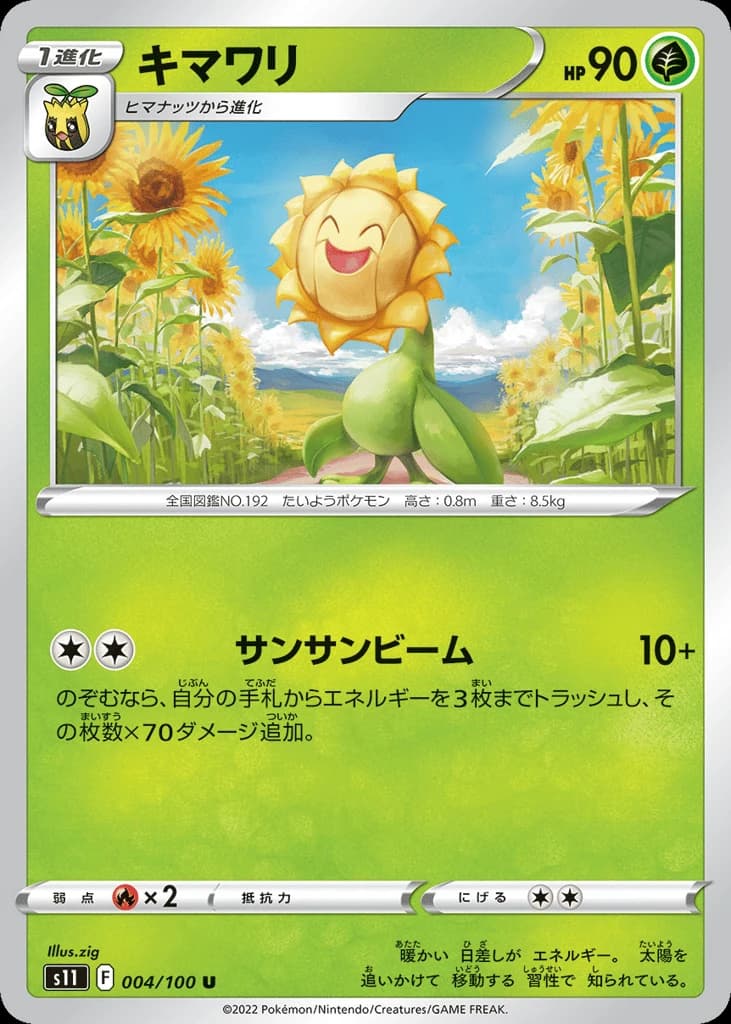Sunflora (4)