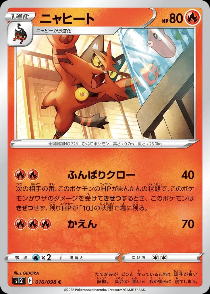 Torracat (16)