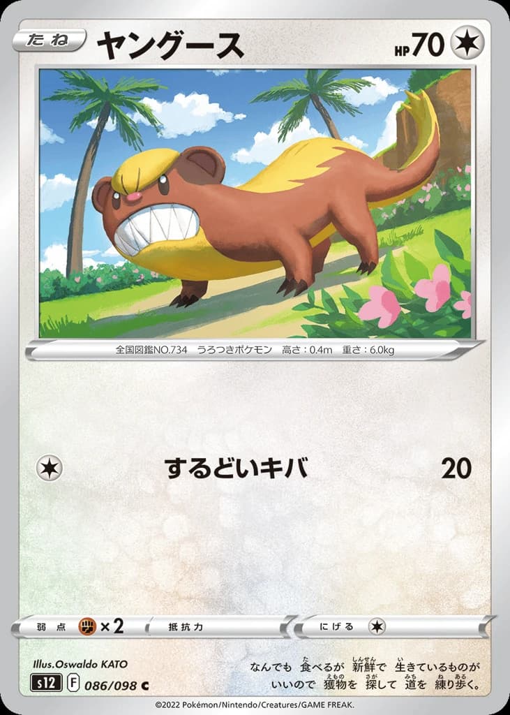 Yungoos (86)