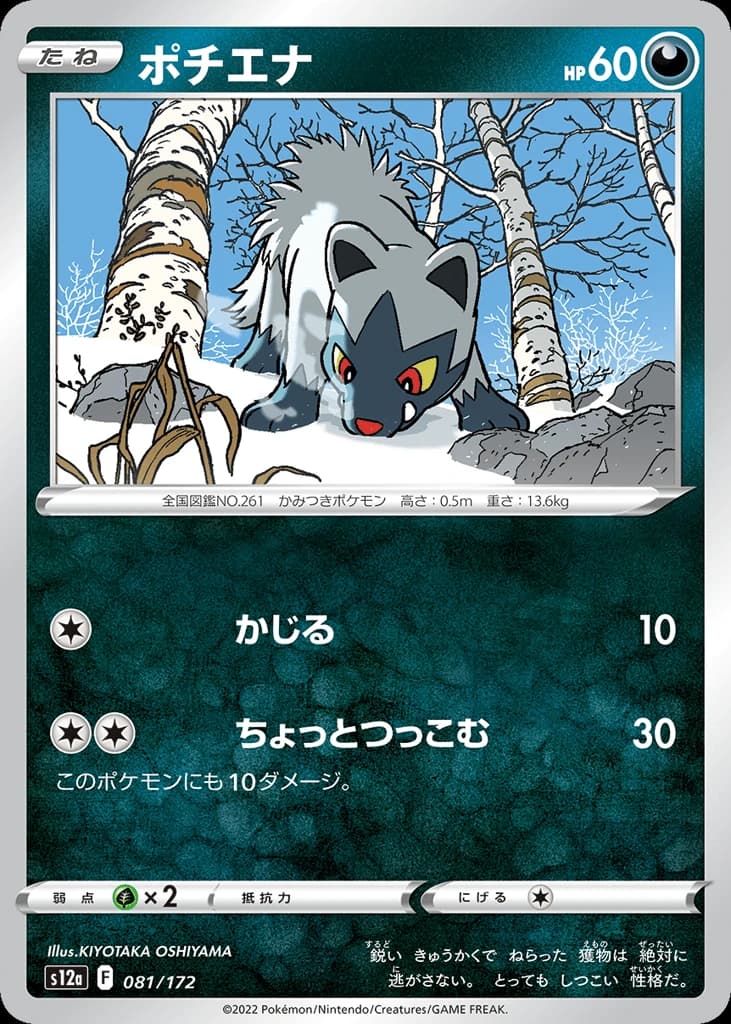 Poochyena (81)