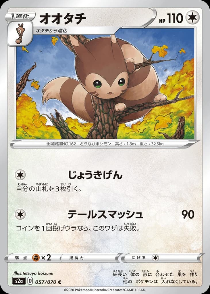 Furret (57)