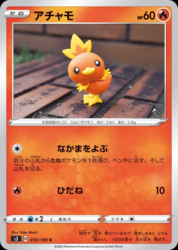Torchic (10)