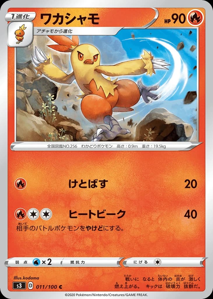 Combusken (11)