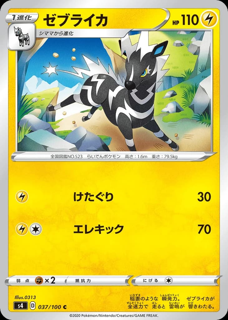 Zebstrika (37)