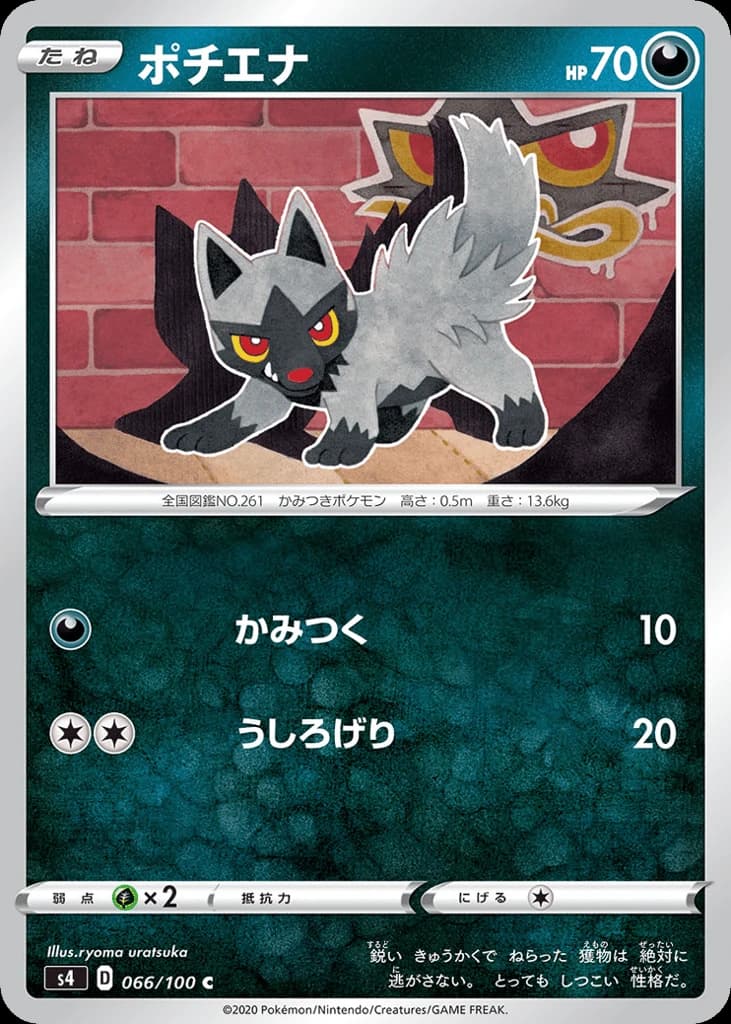 Poochyena (66)