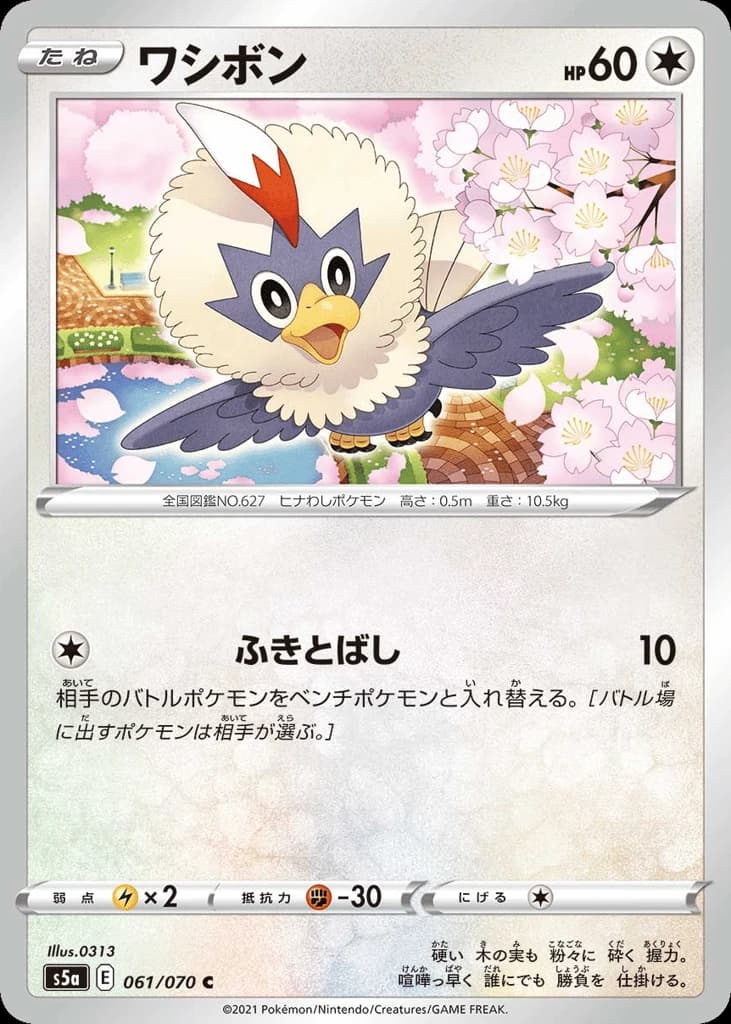 Rufflet (61)