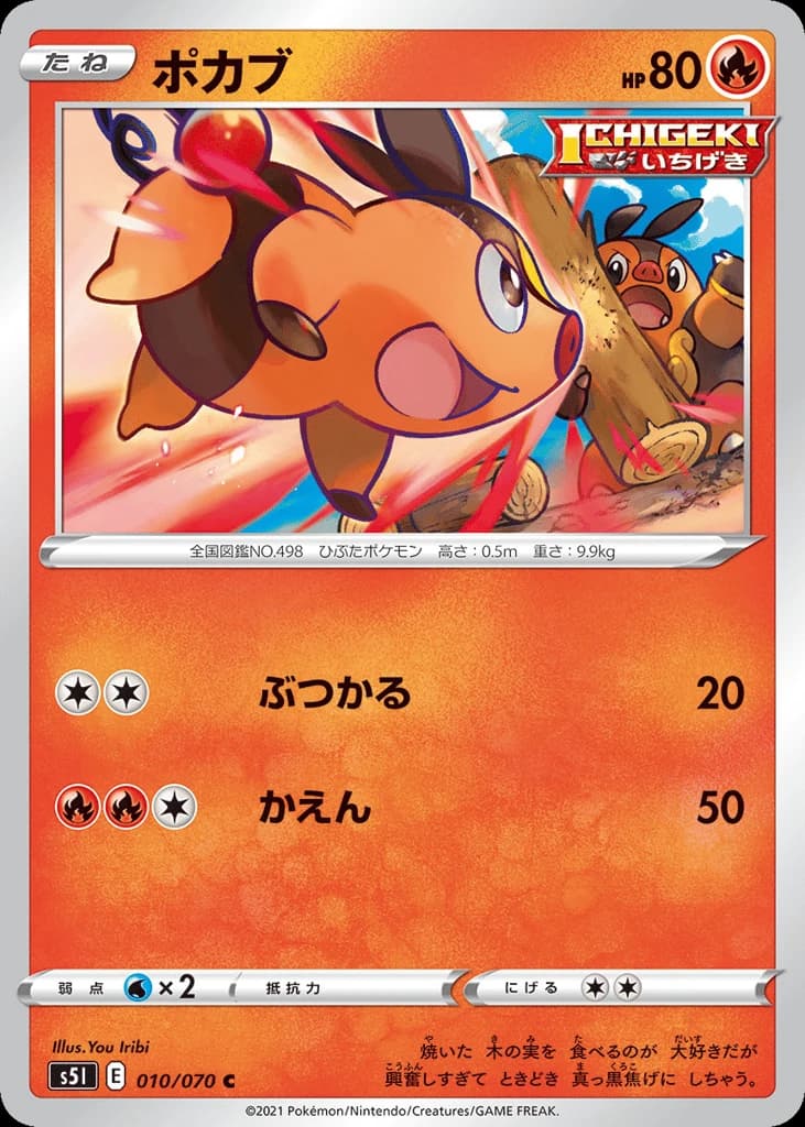 Tepig (10)