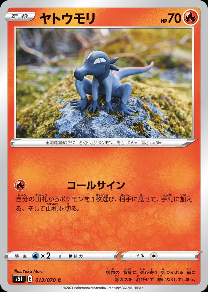 Salandit (13)