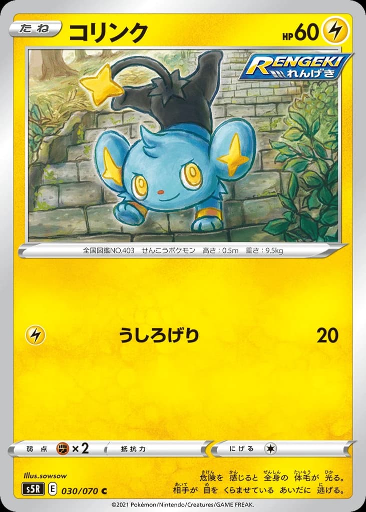 Shinx (30)