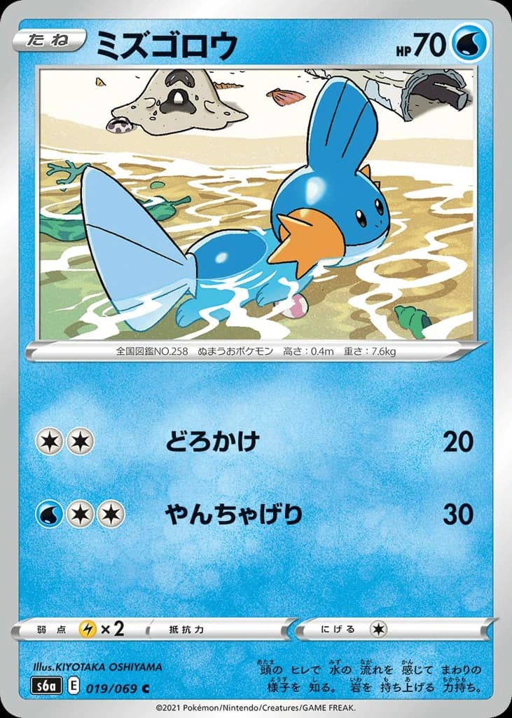 Mudkip (19)