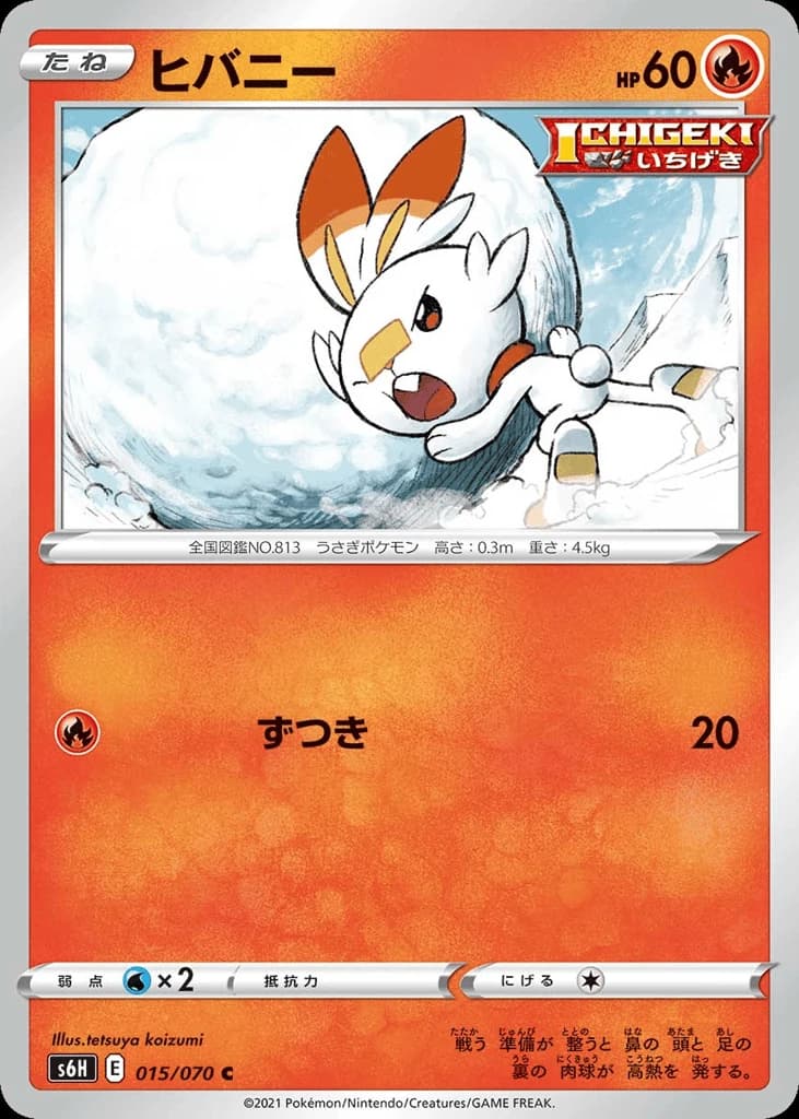 Scorbunny (15)
