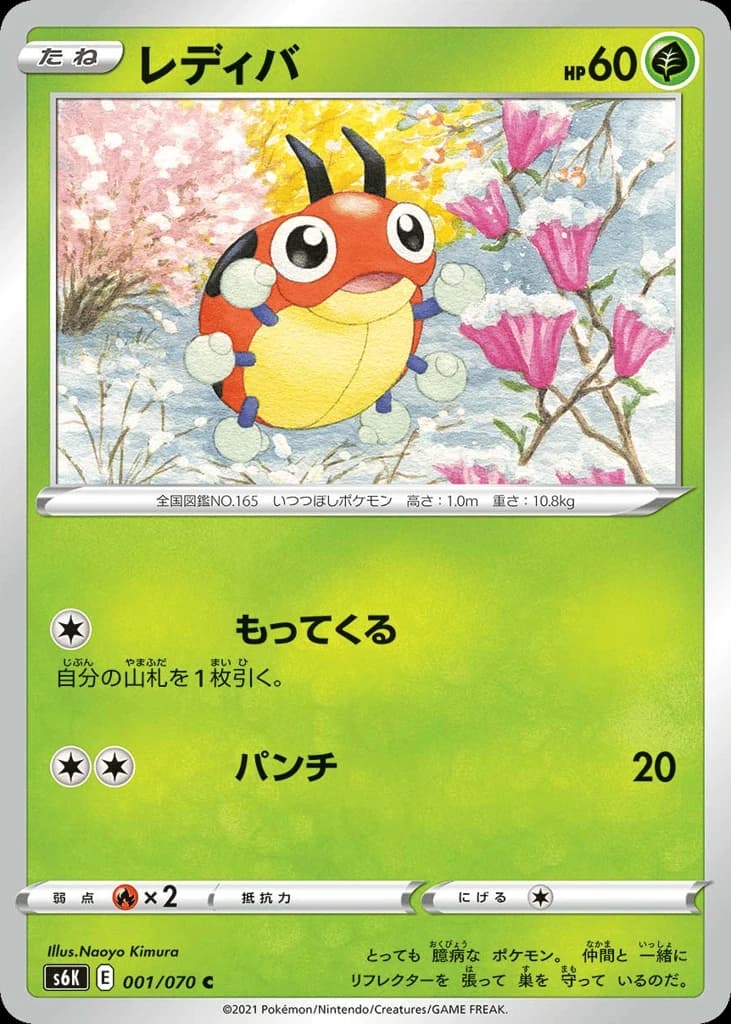 Ledyba (1)