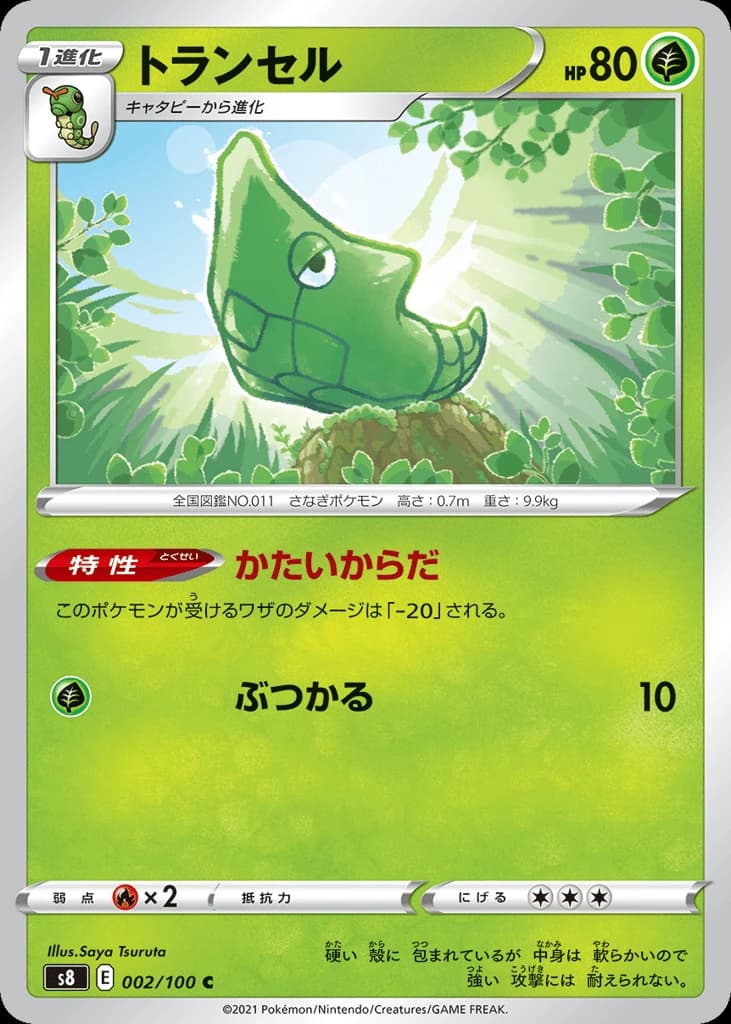 Metapod (2)