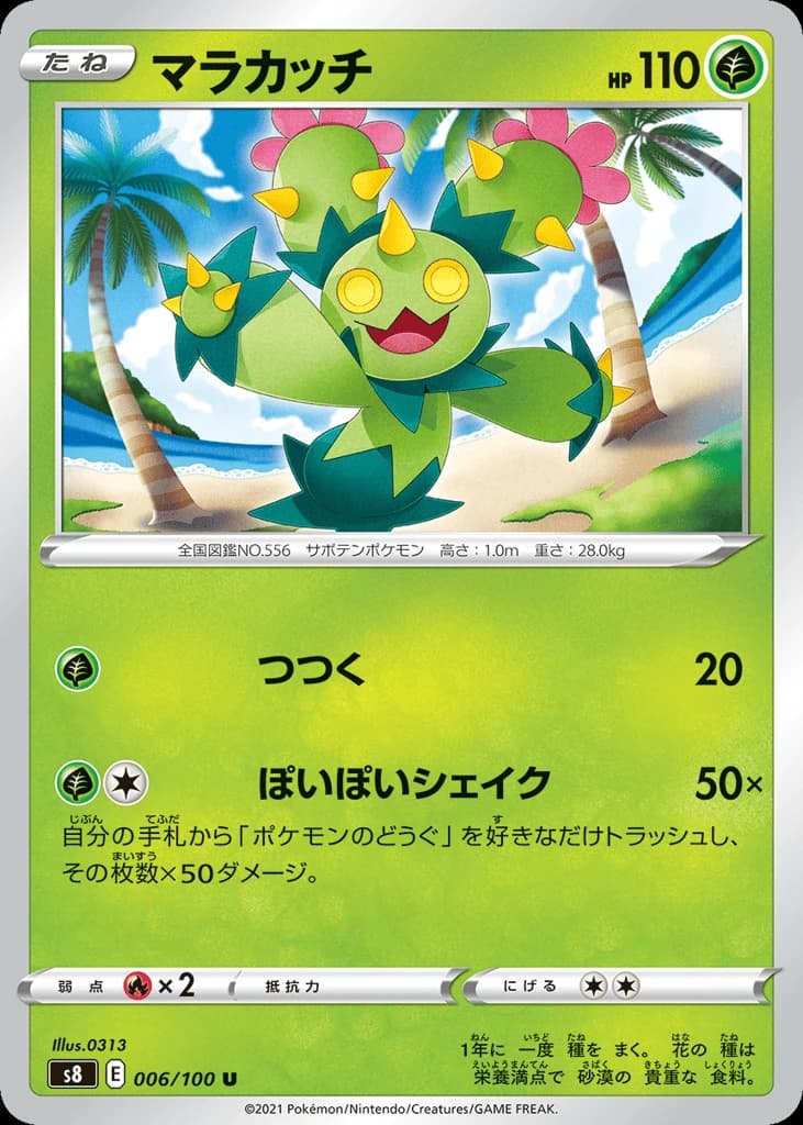 Maractus (6)