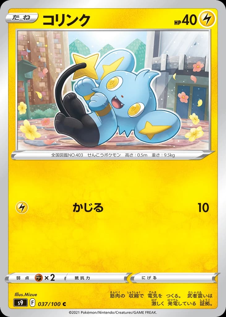 Shinx (37)