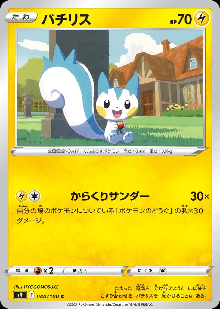 Pachirisu (40)