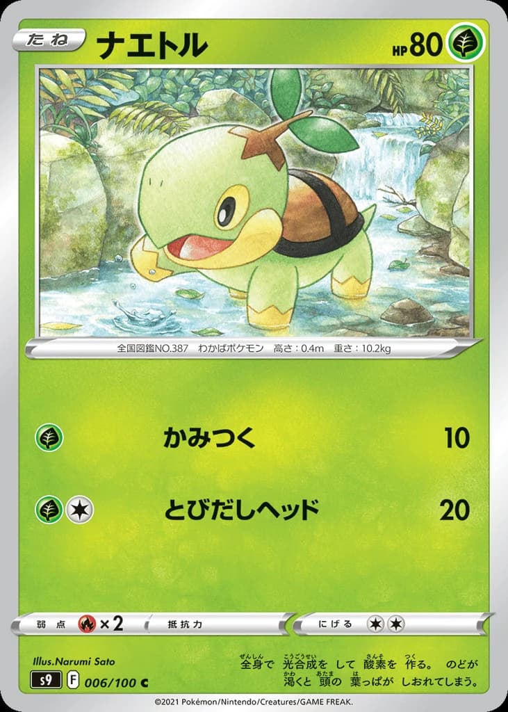 Turtwig (6)