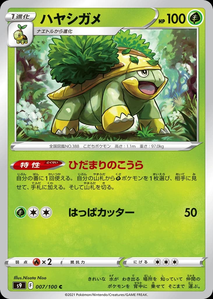 Grotle (7)