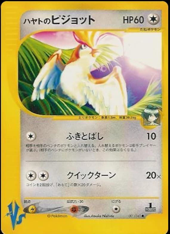 Falkner's Pidgeot (1)