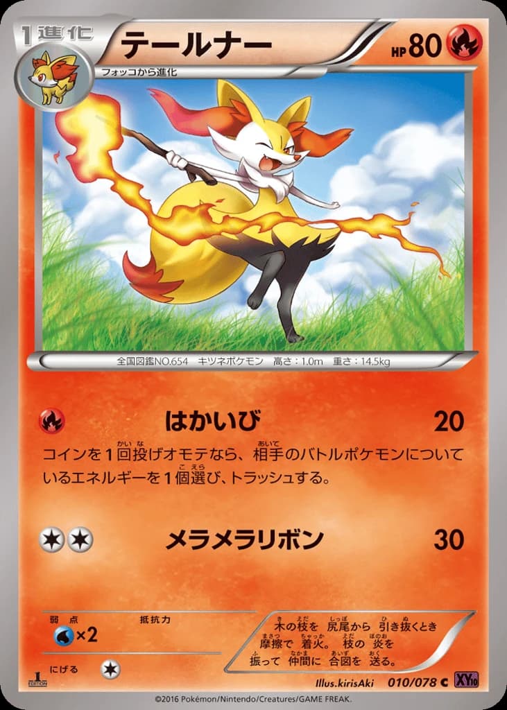 Braixen (10)