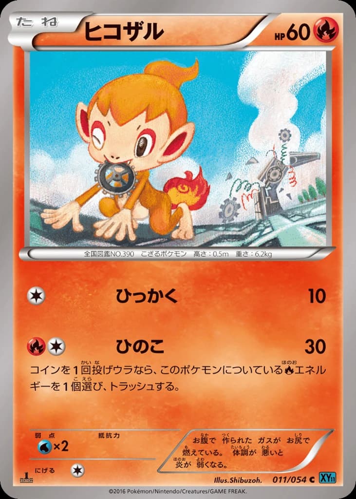 Chimchar (11)