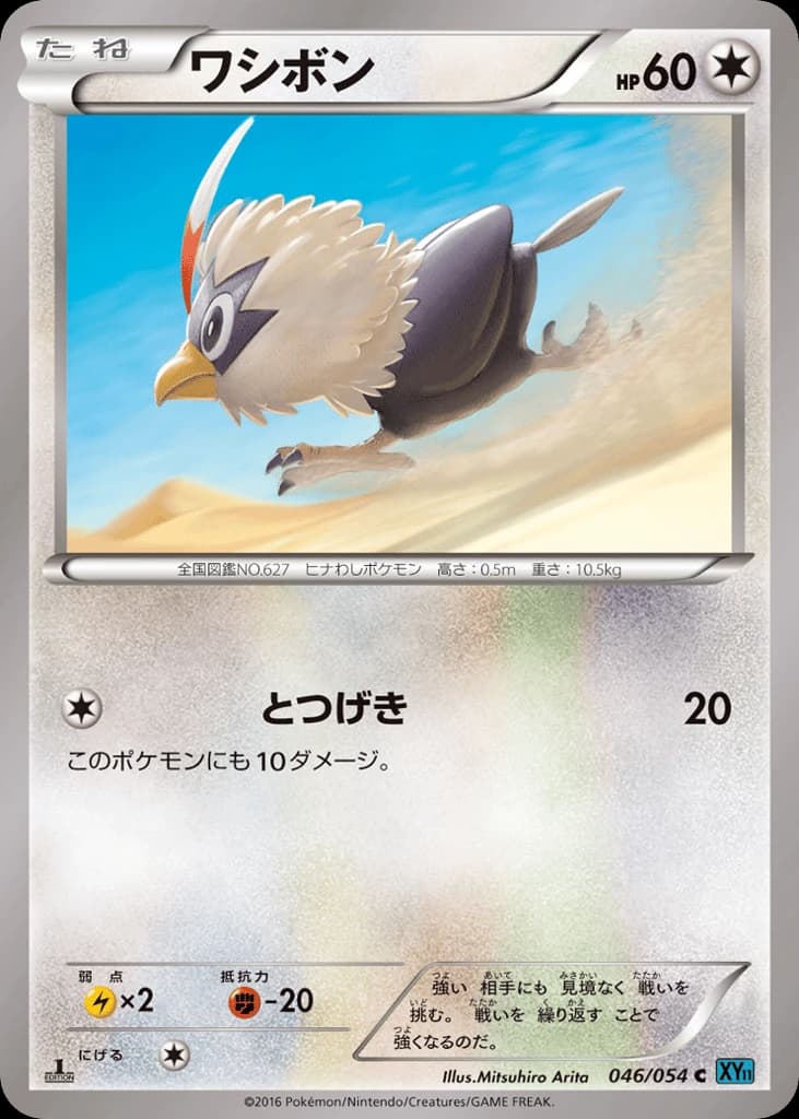 Rufflet (46)