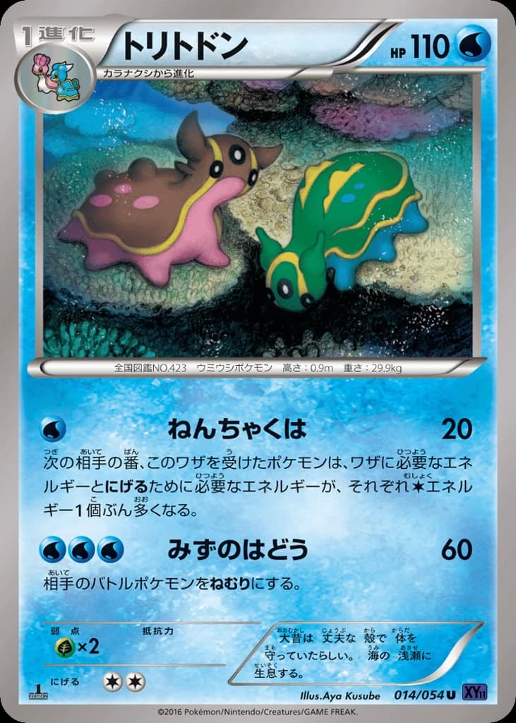 Gastrodon (14)