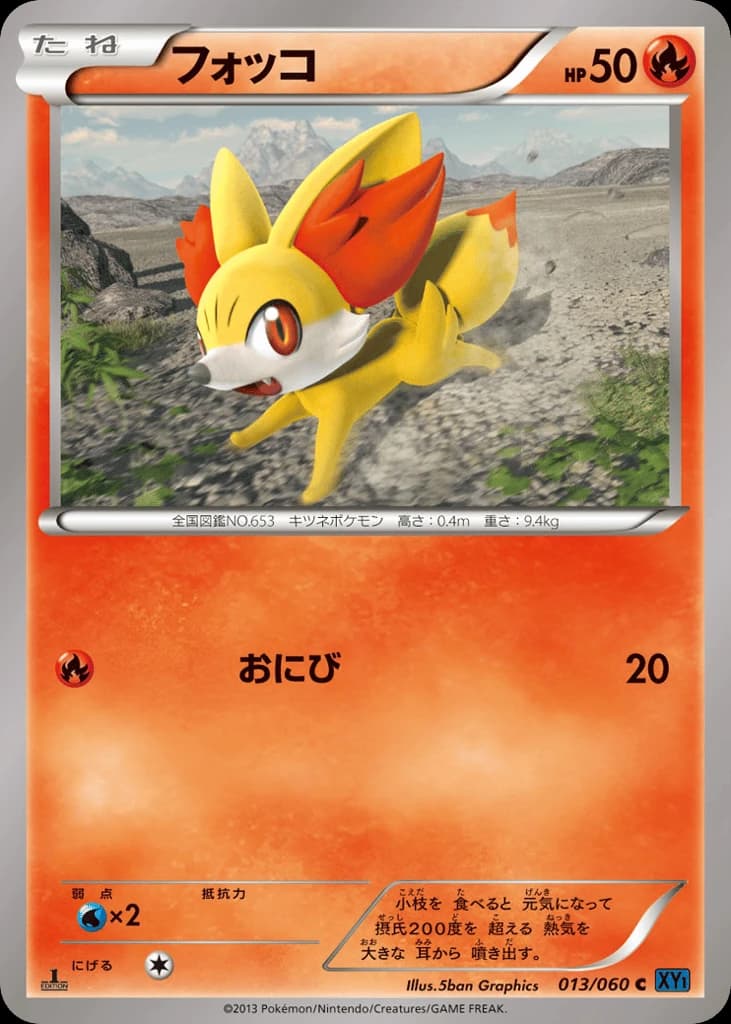 Fennekin (13)